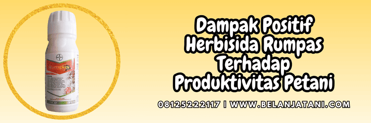 dampak,penggunaan,pengaplikasian,petani,belanja tani