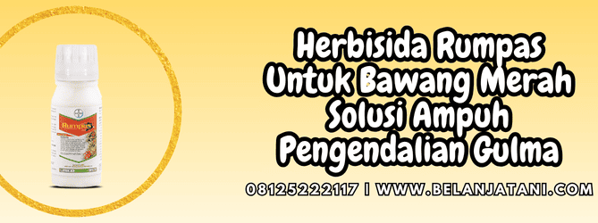 herbisida rumpas untuk bawang merah,herbisida,rumpas,bawang merah,belanja tani