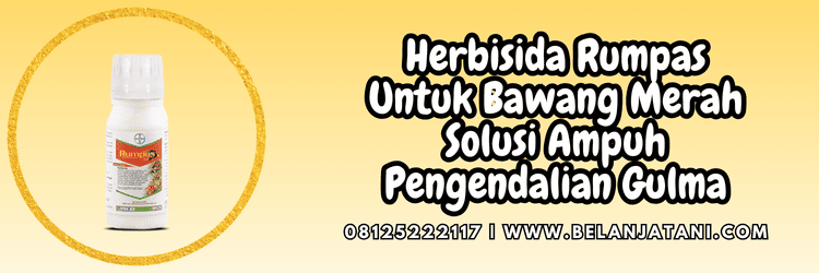 herbisida rumpas untuk bawang merah,herbisida,rumpas,bawang merah,belanja tani