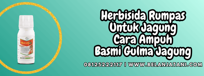 herbisida rumpas untuk jagung,herbisida,rumpas,jagung,belanja tani