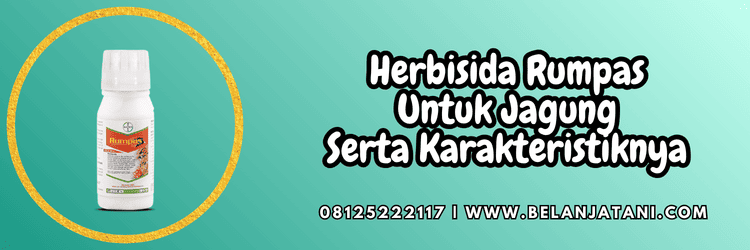 bayer,rumpas bayer,rumpas 110 ew,pestisida,pestisida jenis herbisida,belanja tani