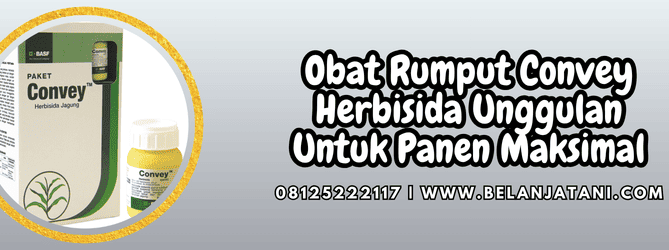 obat rumput convey,obat,obat rumput,convey,convey 336 sc,belanja tani
