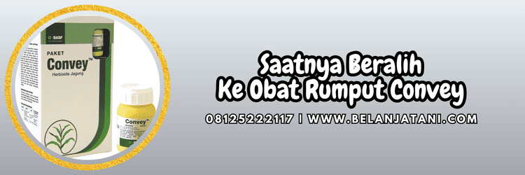 jual,murah,terjangkau,toko pertanian terdekat,belanja tani