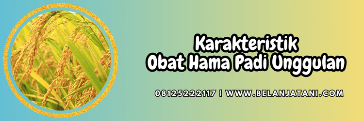 karakteristik,budidaya,tanaman,budidaya padi,belanja tani