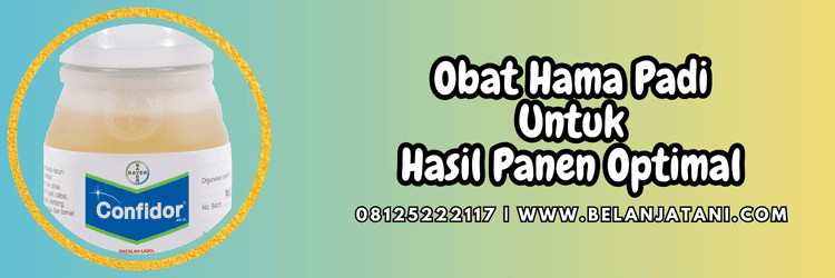 pestisida,insektisida,pestisida jenis insektisida,hama padi,belanja tani