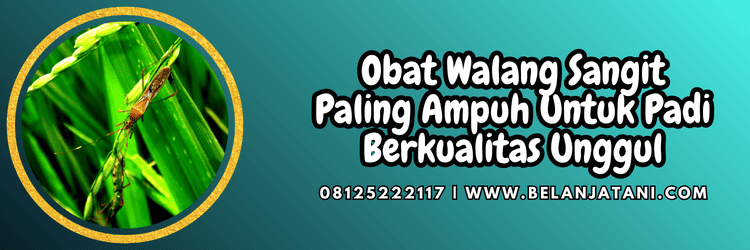 pestisida,insektisida,pestisida jenis insektisida,hama,belanja tani